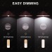iHaper B2 Smart light bulb（E27）